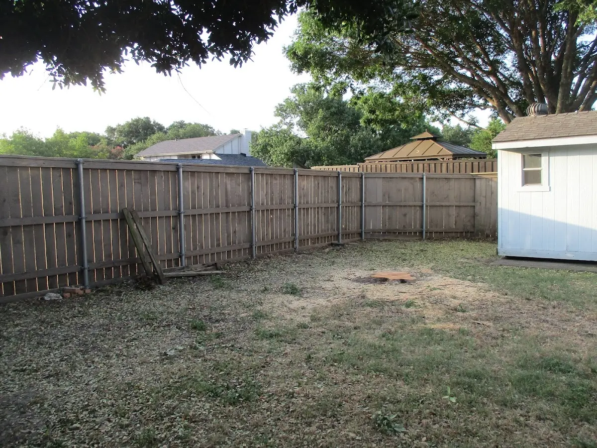 Cleared yard after professional tree removal in Shunk